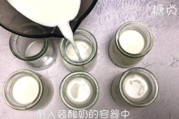 糖贞糖～自制老酸奶的做法图解5