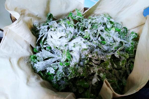 粉蒸芹菜叶的做法图解6