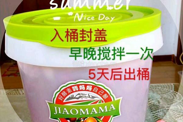 苹果火龙果酵素的做法图解5