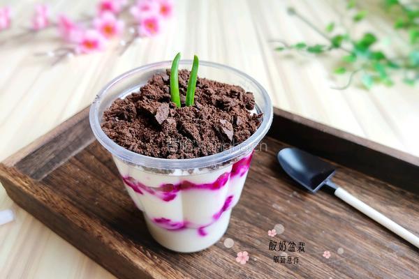 火龙果酸奶盆栽的做法图解10