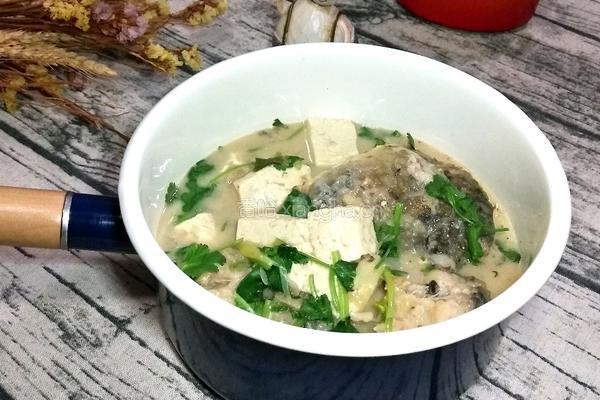鲤鱼豆腐汤的做法图解7