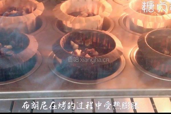 蛋糕系列～核桃布朗尼蛋糕的做法图解10