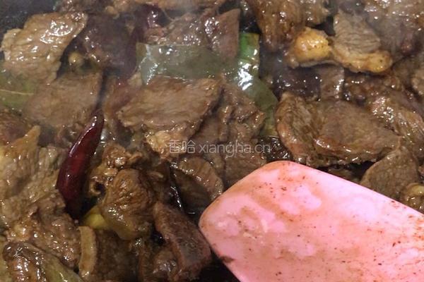 红焖牛肉的做法图解8