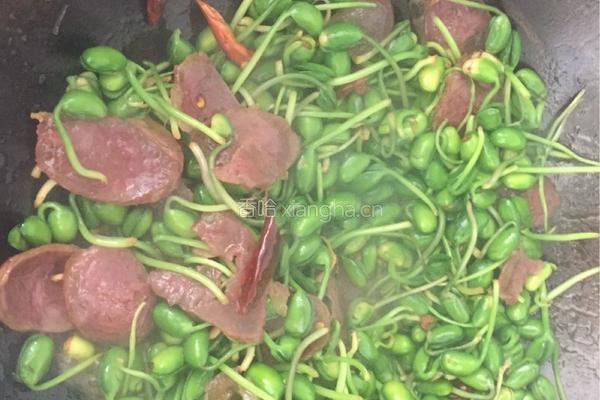 腊肠炒豆芽的做法图解9