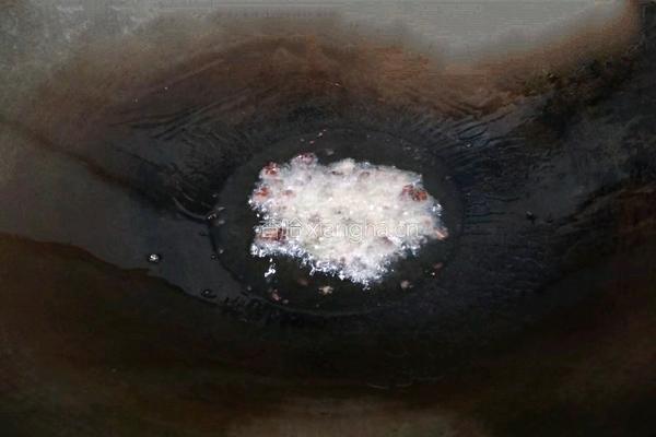 豉香洋葱土豆片的做法图解4