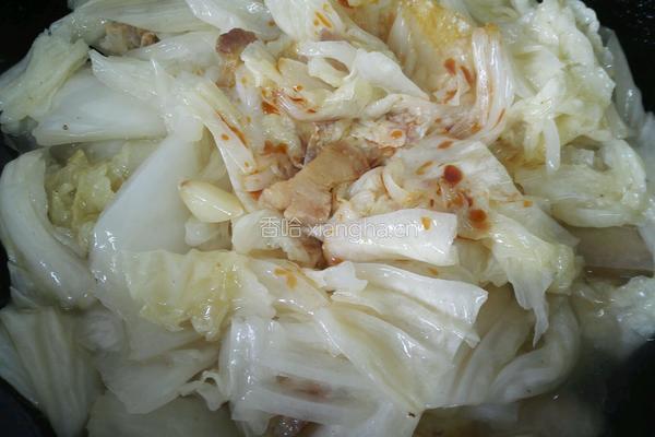 大白菜炒肉的做法图解8