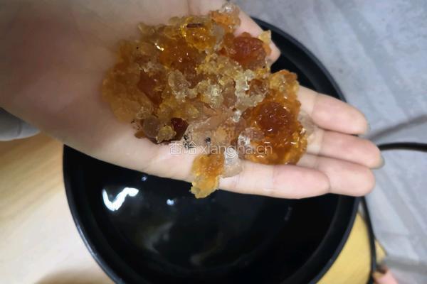 下午茶 桃胶银耳桂花露（一人份） 的做法图解3