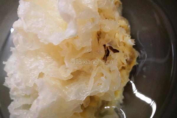 下午茶 桃胶银耳桂花露（一人份） 的做法图解4