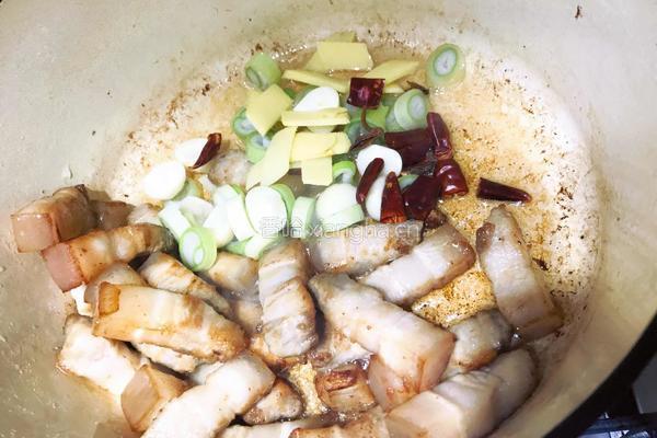 干豆角焖肉的做法图解8