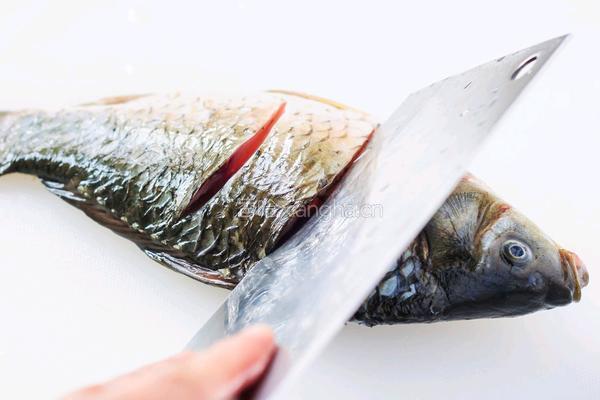 葱焖鲫鱼的做法图解3
