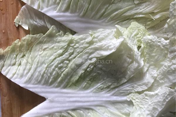 白菜酿肉的做法图解1