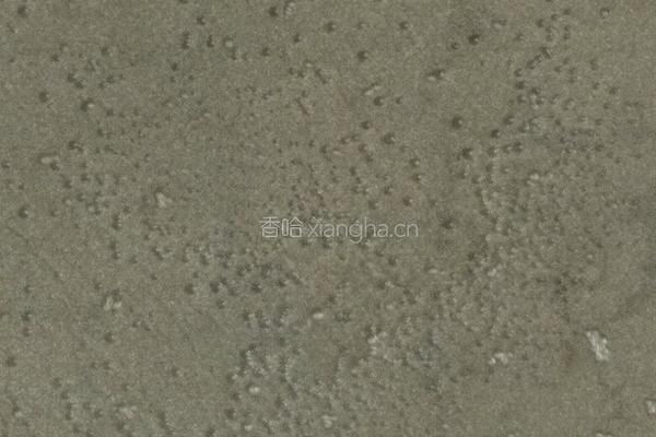 葱油莴笋丝的做法图解6