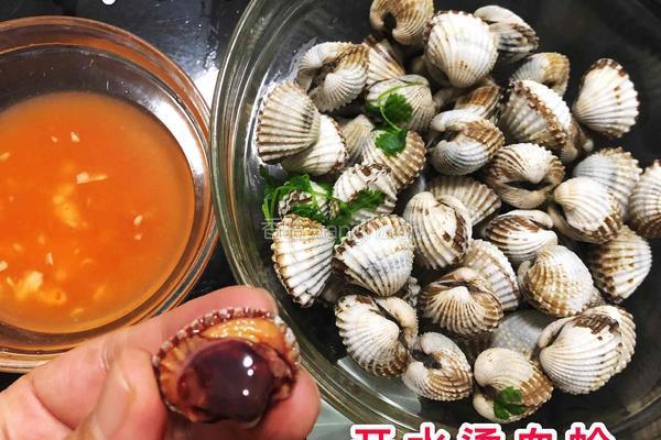 开水烫血蛤