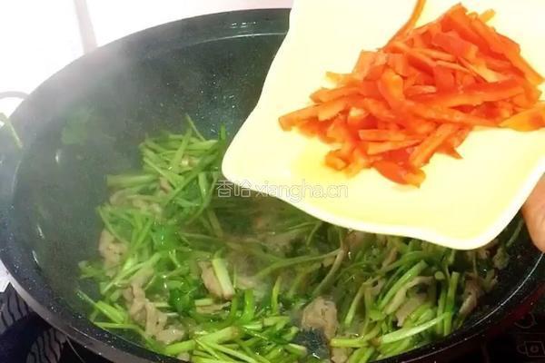 野芹炒肉丝的做法图解12