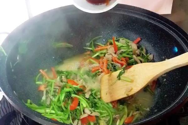 野芹炒肉丝的做法图解13