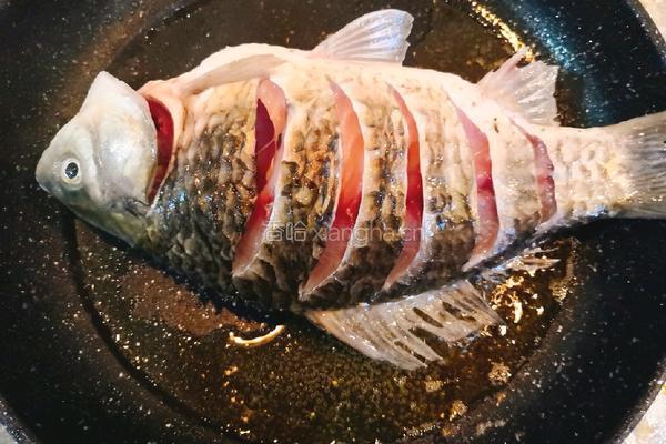 鲫鱼豆腐汤的做法图解3