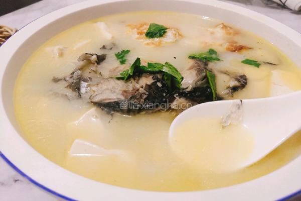 鲫鱼豆腐汤的做法图解8