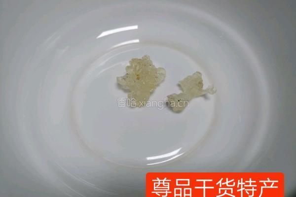老冰糖雪燕牛奶的做法图解1