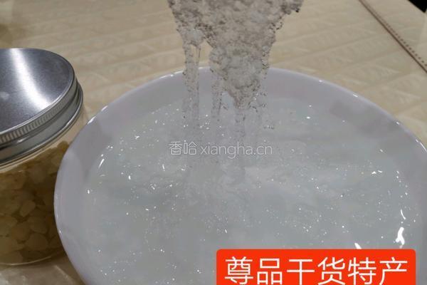 老冰糖雪燕牛奶的做法图解2