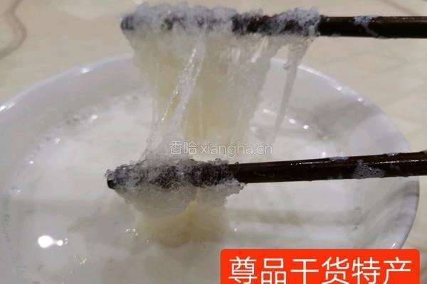 老冰糖雪燕牛奶的做法图解7