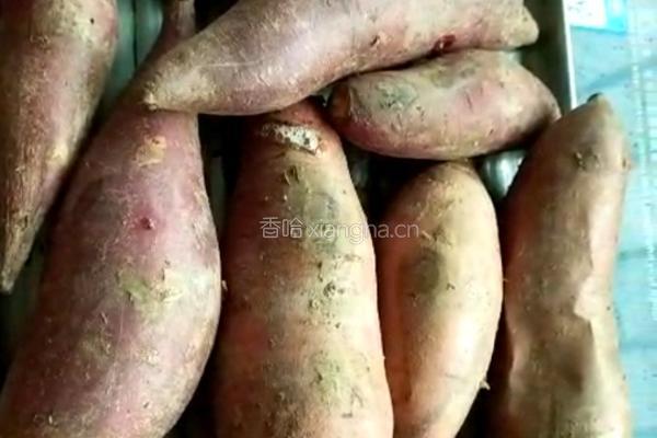烤地瓜的做法图解5