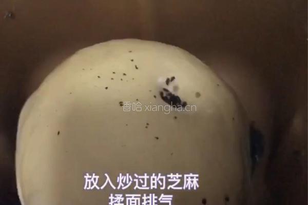 ＃下午茶＃黑芝麻豆沙吐司的做法图解3