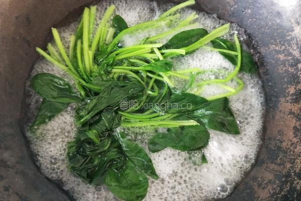 菠菜面的做法图解3