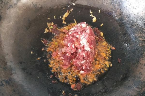 西红柿牛肉酱的做法图解8