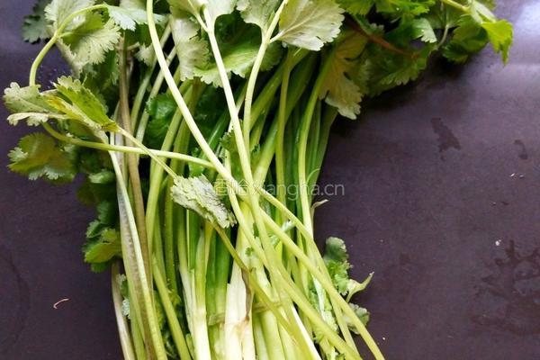香菇馄饨的做法图解3