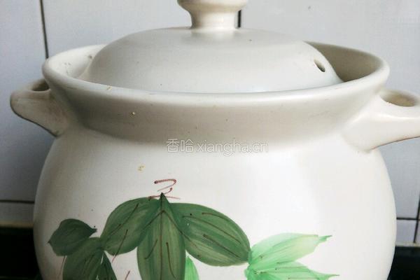养生润肺汤的做法图解4