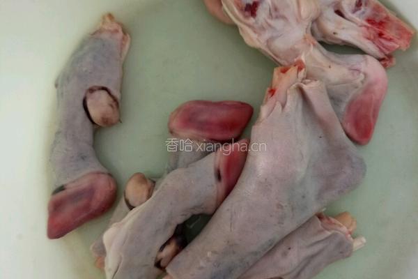 当归羊蹄汤的做法图解1