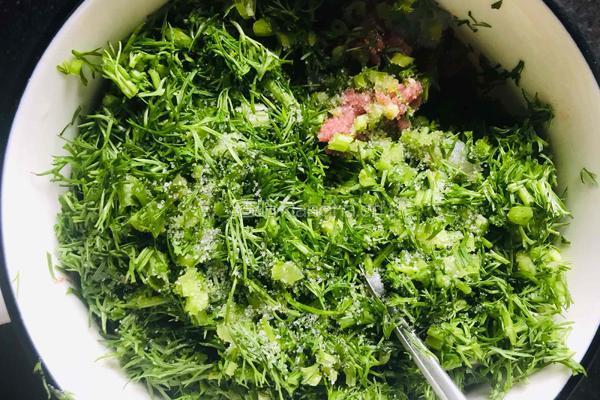 茴香牛肉包的做法图解4