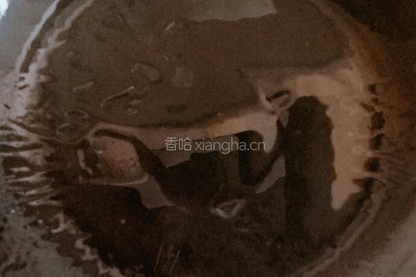 菠萝咕噜肉的做法图解15