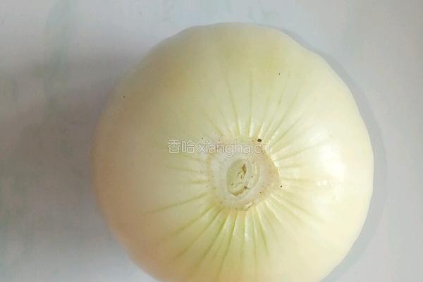 红酒酿洋葱的做法图解1