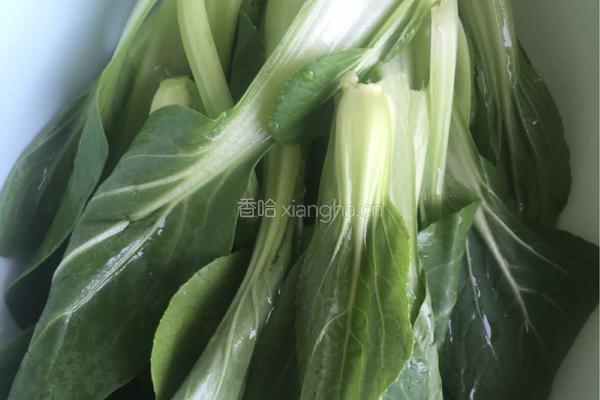 凉拌小油菜的做法图解1