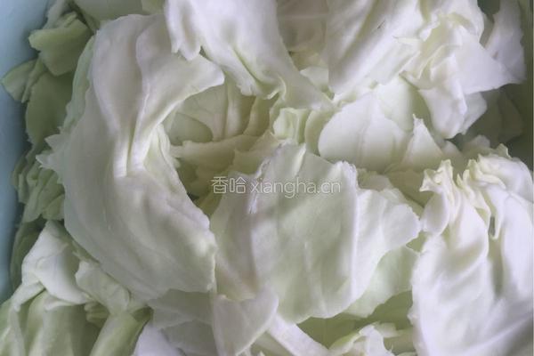 手撕包菜的做法图解4