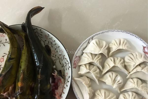 黄骨鱼煮饺子的做法图解1