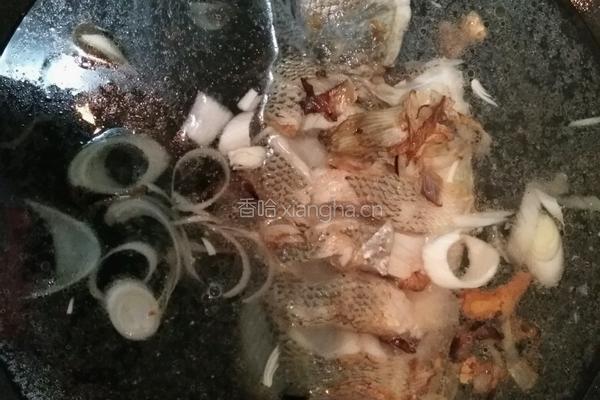 清炖鲈鱼豆腐汤的做法图解6