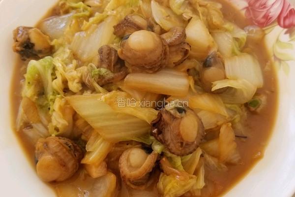 白菜扇贝的做法图解6
