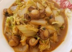 白菜扇贝