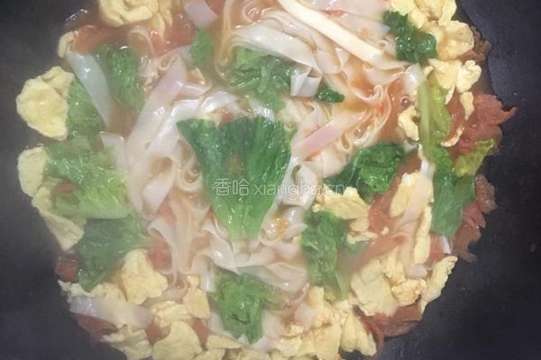 番茄鸡蛋面的做法图解9