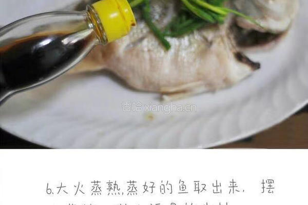 清蒸鲈鱼的做法图解6