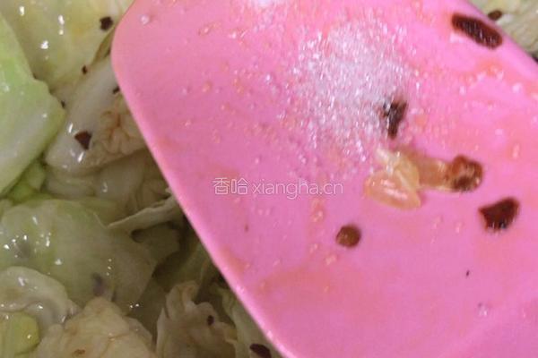 蚝油包心菜的做法图解6