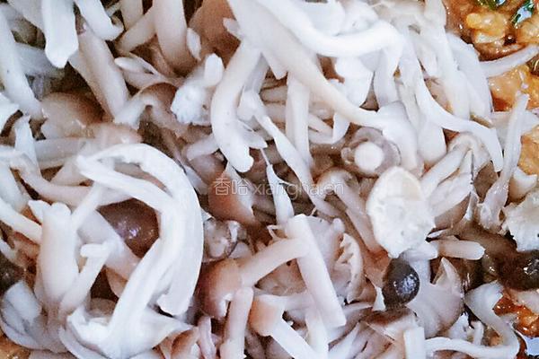 海鲜菇肉丝炒粉的做法图解10