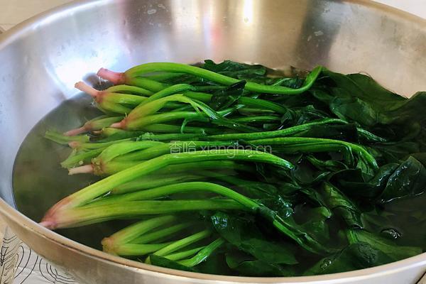 菠菜虾仁蒸蛋的做法图解2