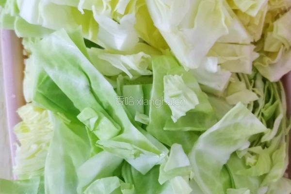 酸辣包菜（开胃菜）的做法图解1