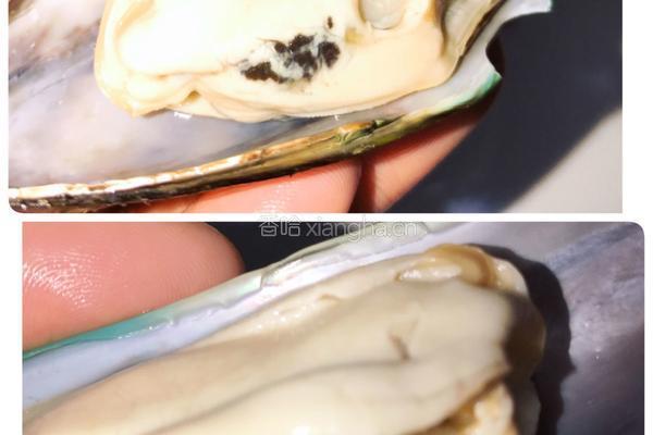 葱油青口贝的做法图解3