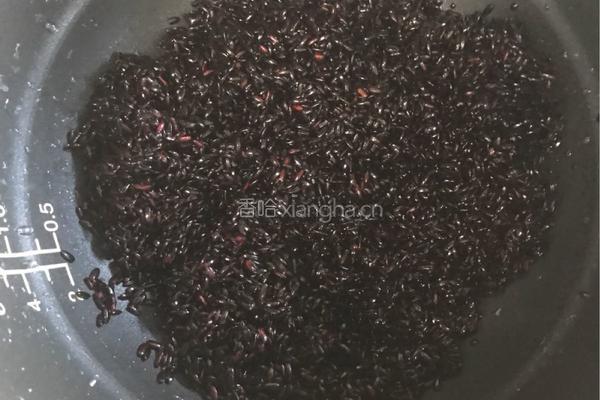 蒸黑糯米糕的做法图解3