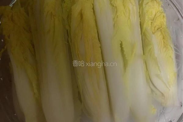 蒜蓉粉丝娃娃菜的做法图解7