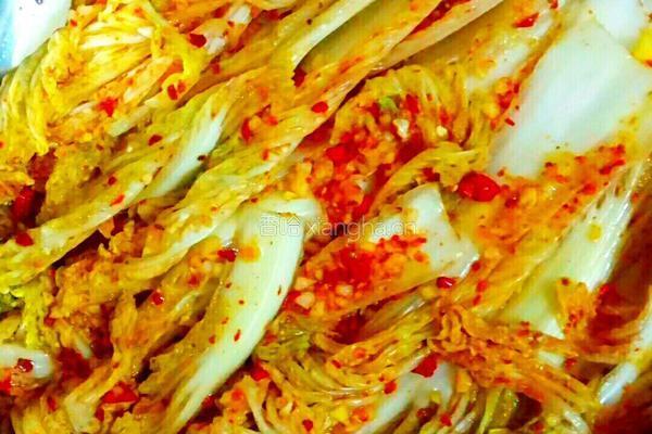 韩国辣白菜的做法图解5